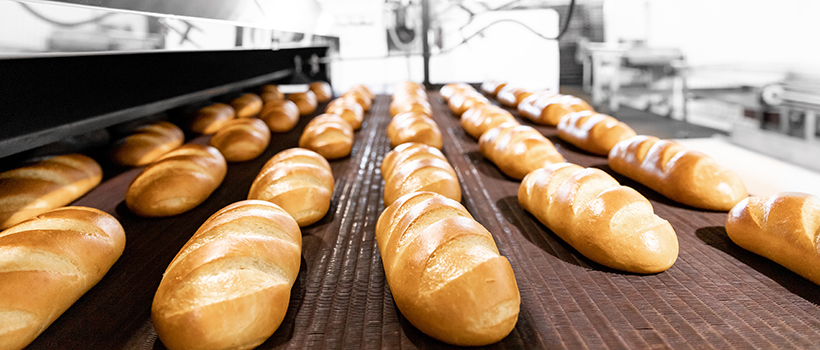 Bread being baked in a factory