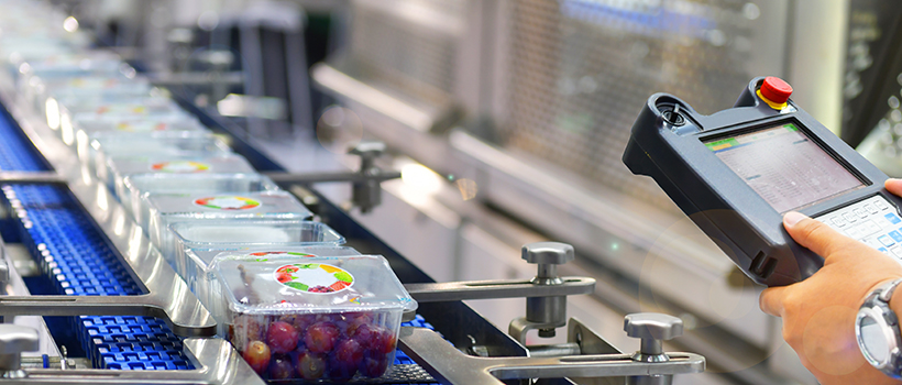 Grapes on factory production line being monitored by worker