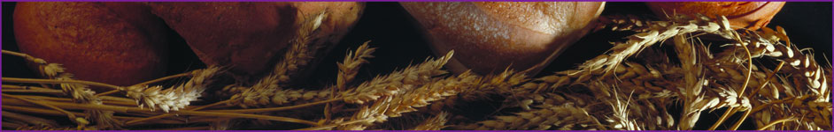 Cereals videos on the web