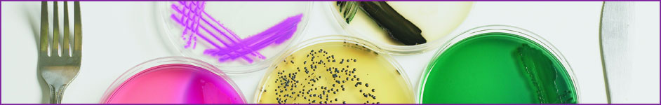 Microbiological challenge testing - Guide