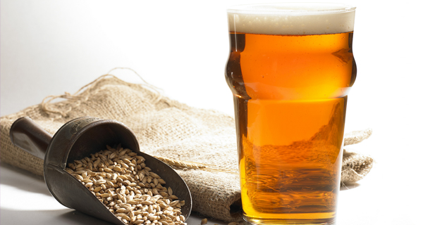 Brewing and malting training courses
