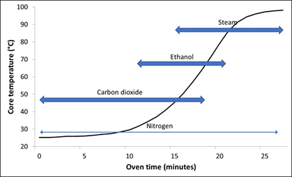 What causes bread dough to rise? image 1