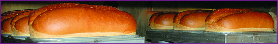 What causes bread dough to rise?