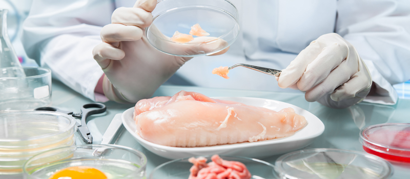Problèmes de contamination : quels aliments sont sujets à quels agents pathogènes ?  Et pourquoi?  - Image 1
