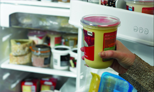 Fridge temperatures - the shelf-life concern