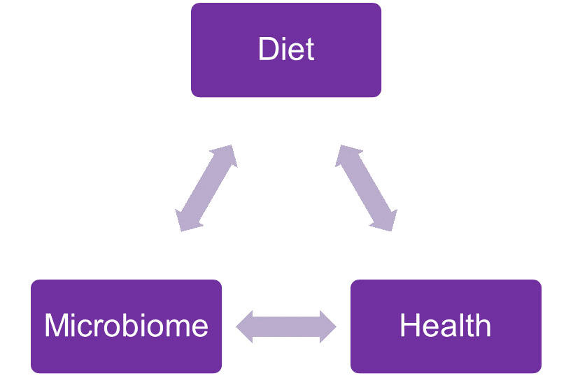 Gut microbiome and health – what’s the impact of baked goods? - Image 1