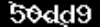 captcha_image