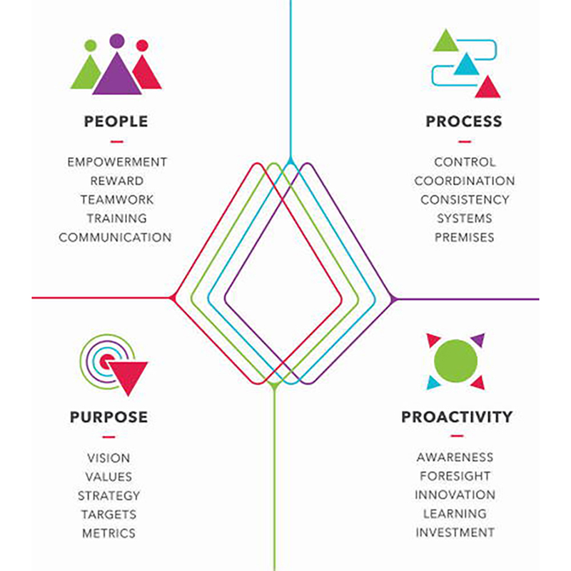 Culture excellence structure