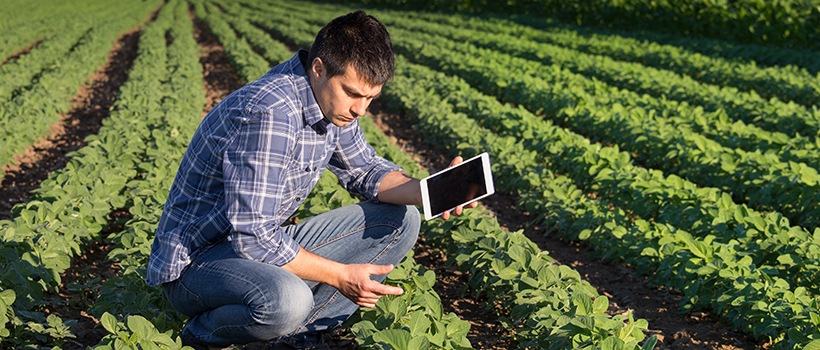 Agriculture quality checking