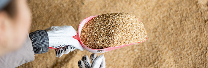 Animal feed being scooped out of industrial feed bag