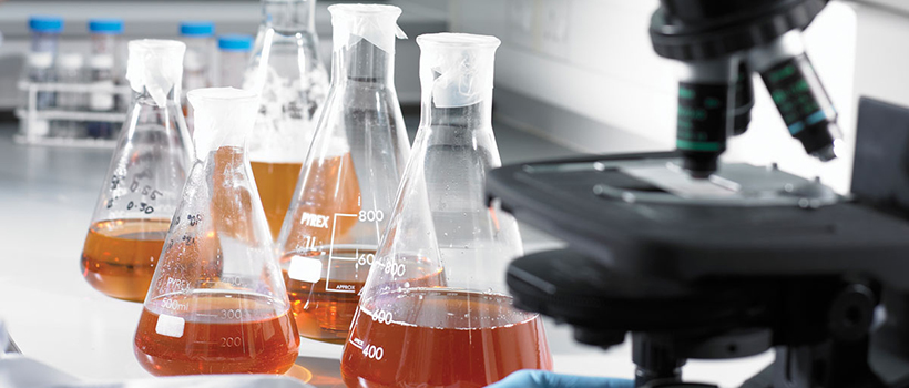 Beer being analysed in laboratory with microscope