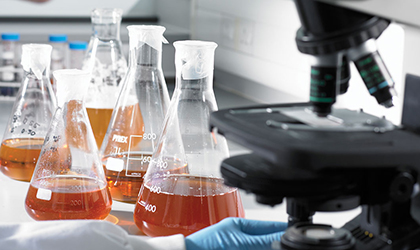 Beer being analysed in laboratory with microscope