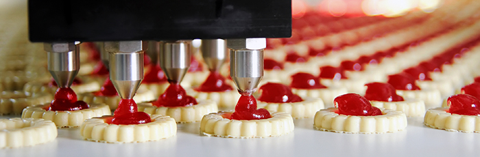 Biscuits on production line