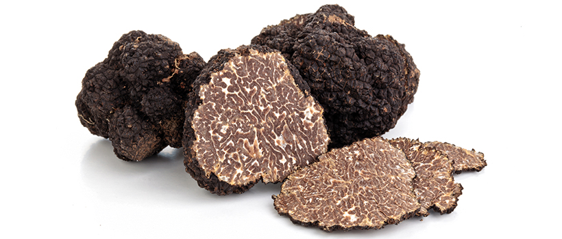 Black truffles