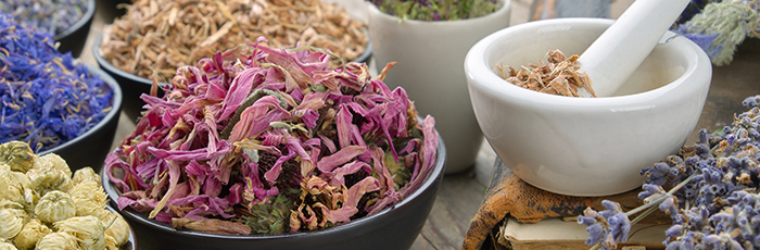 Selection of botanical ingredients