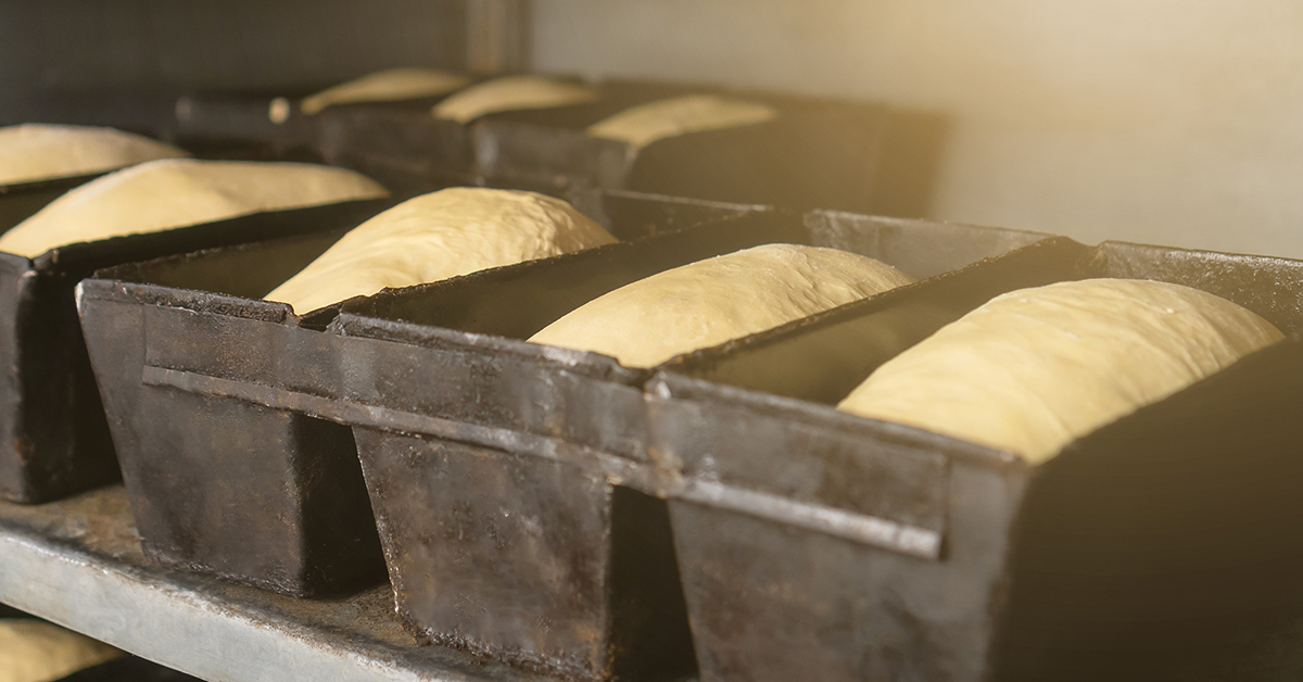 Bread dough in iron molds being baked and rising in oven