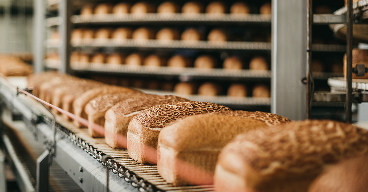 Bread loaves on bakery belt