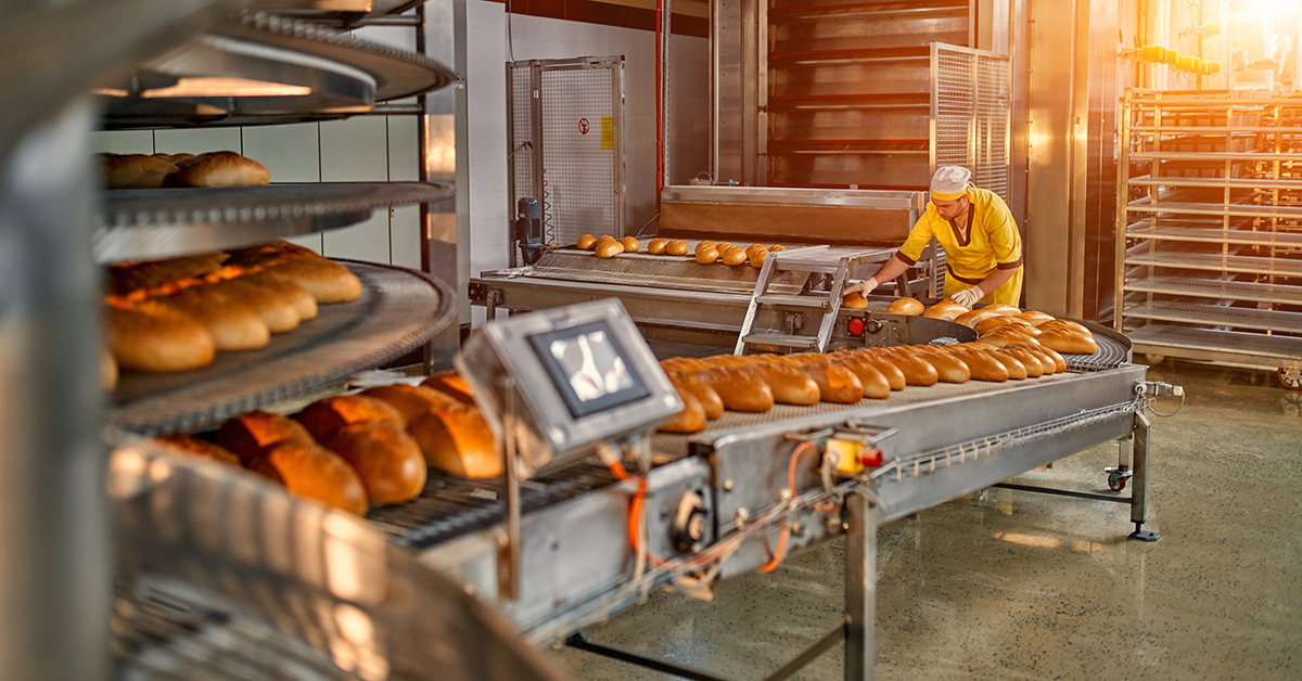 Bread loaves on production line