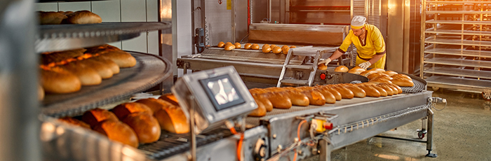 Bread loaves on production line