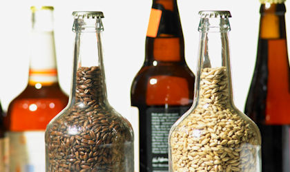 Beer, barley and malt analysis