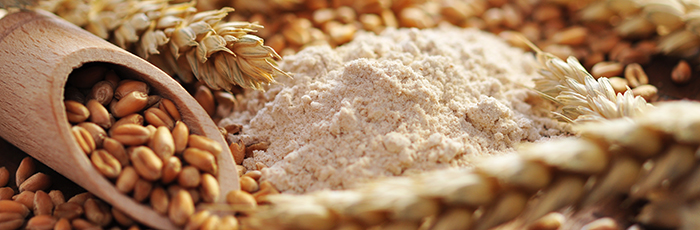 Cereals,wheat and flour