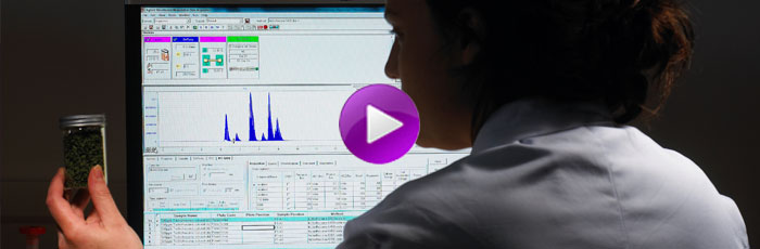 Chemical risk assessment