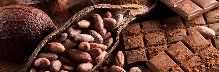 Chocolate bar block and cocoa beans