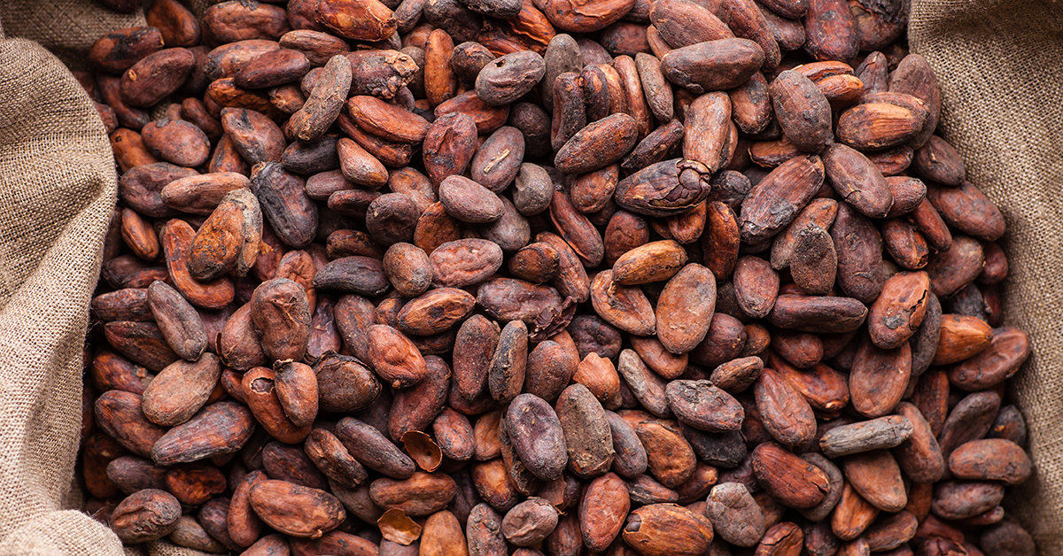 Cocoa beans