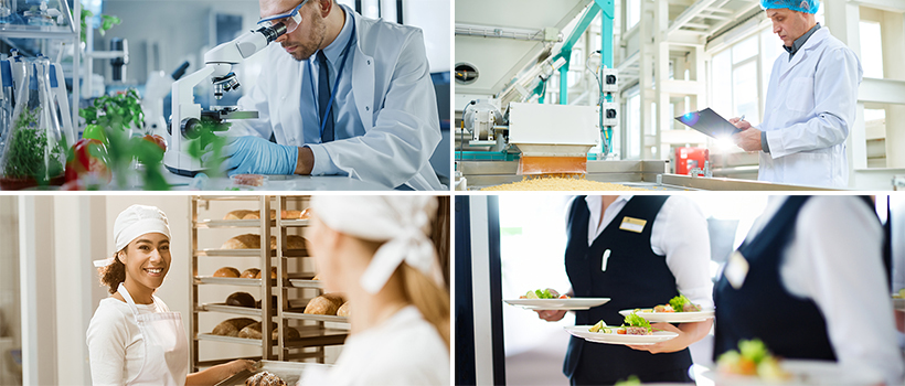 Culture Excellence collage of food industry workers