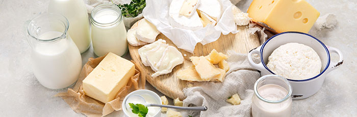 Selection of dairy products