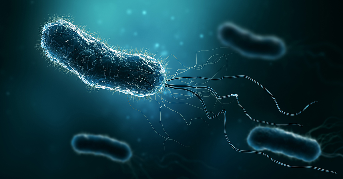 Ecoli bacteria on blue background