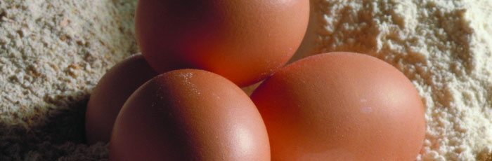 Egg