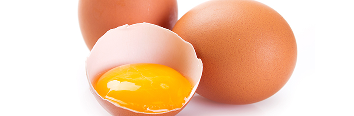 Eggs on a production line