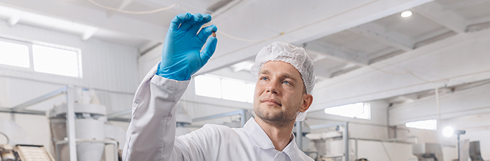 Factory worker inspecting food product from production line in factory