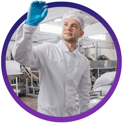 Factory worker inspecting food product from production line in factory