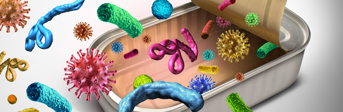 Contamination issues: Which foods are prone to which pathogens? And why?