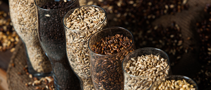 Pint glasses filled with hops, malt, barley, and grains