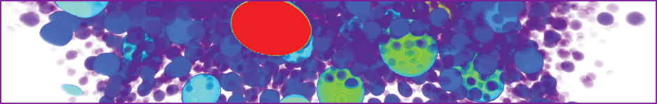 Food structure and image analysis