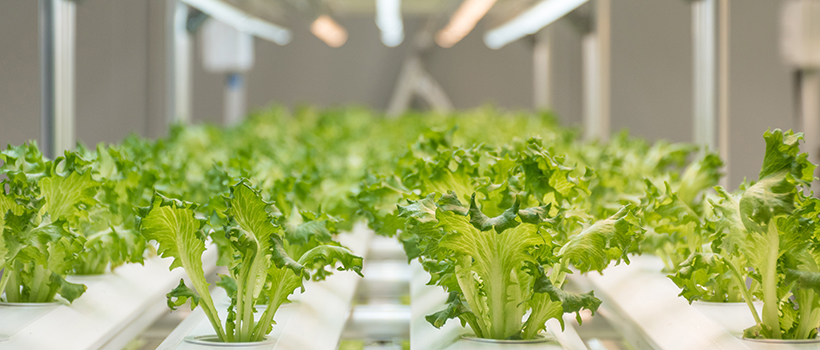 Indoor agri-plant growing