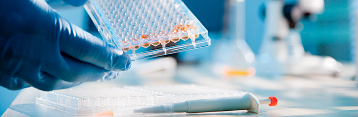 Scientist conducting analysis using a pipette in laboratory