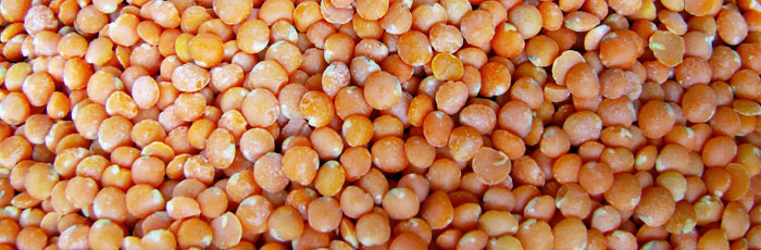 Legumes