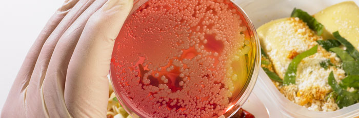 Practical microbiology training