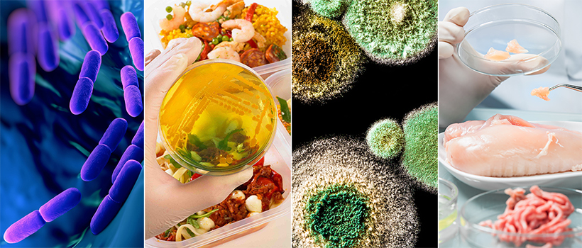 Hot Topics in Food Microbiology On-site Conference