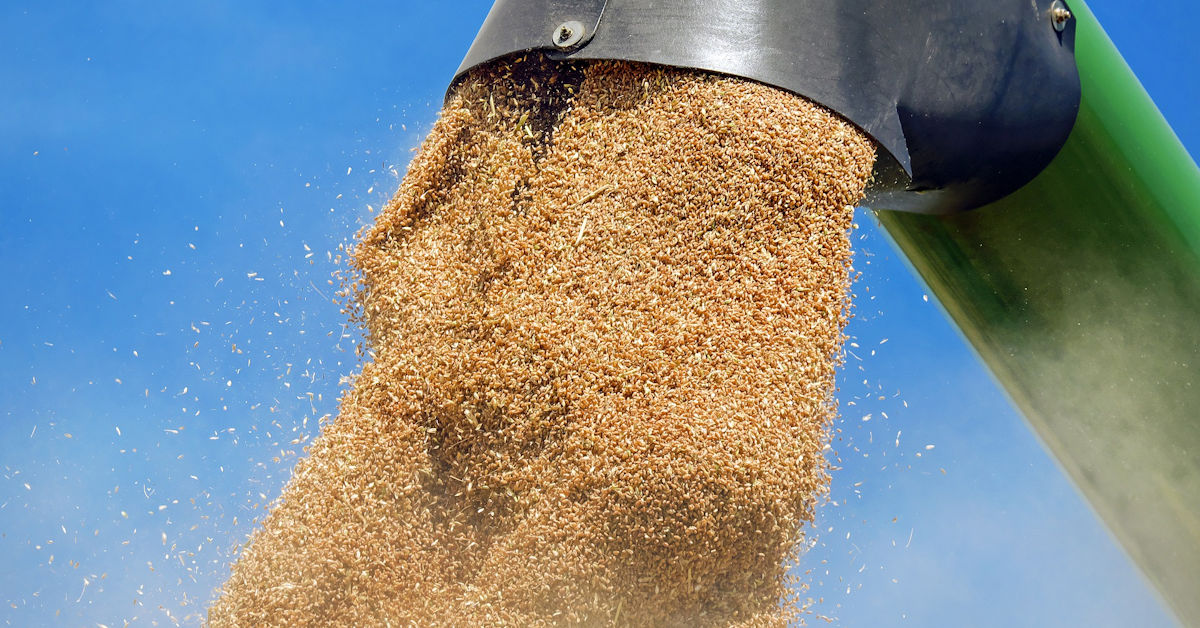 Milling and grain processing facilities at Campden BRI