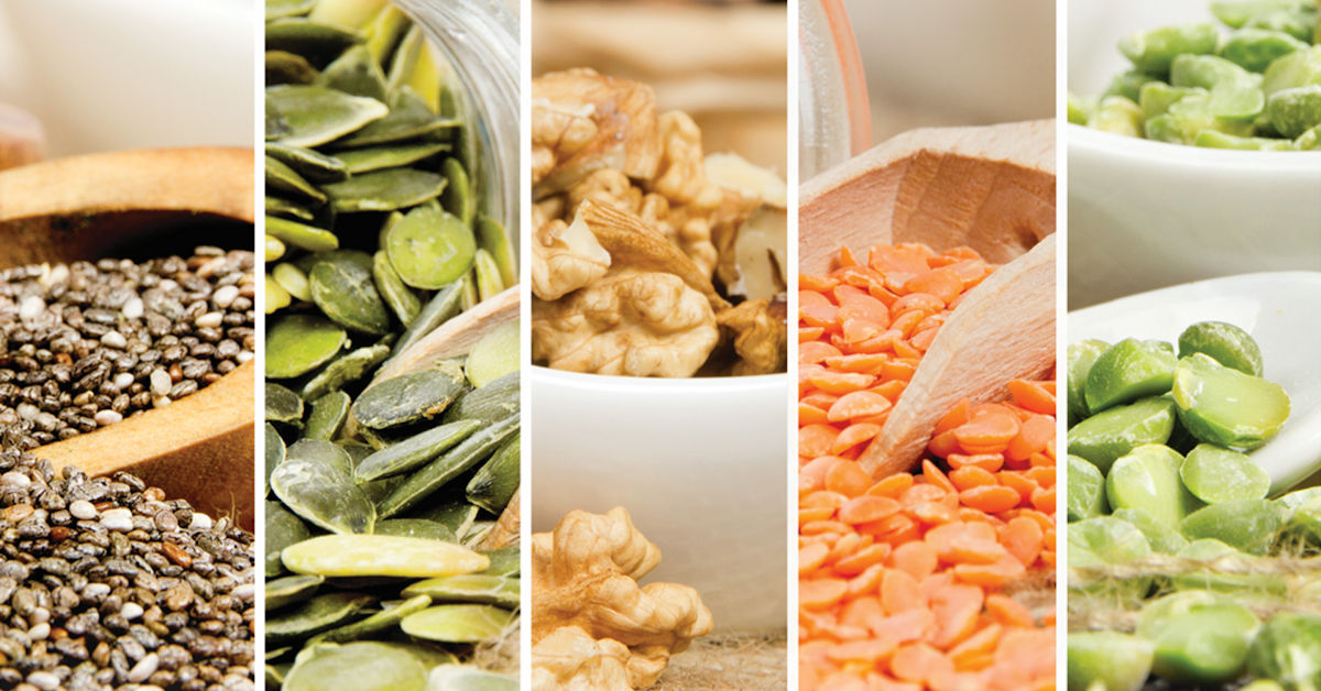 Research into vegan alternatives to animalbased proteins underway at