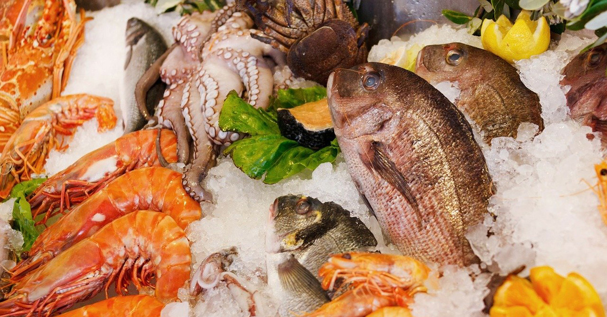Fish, seafood and its preservation How can we extend shelflives? a