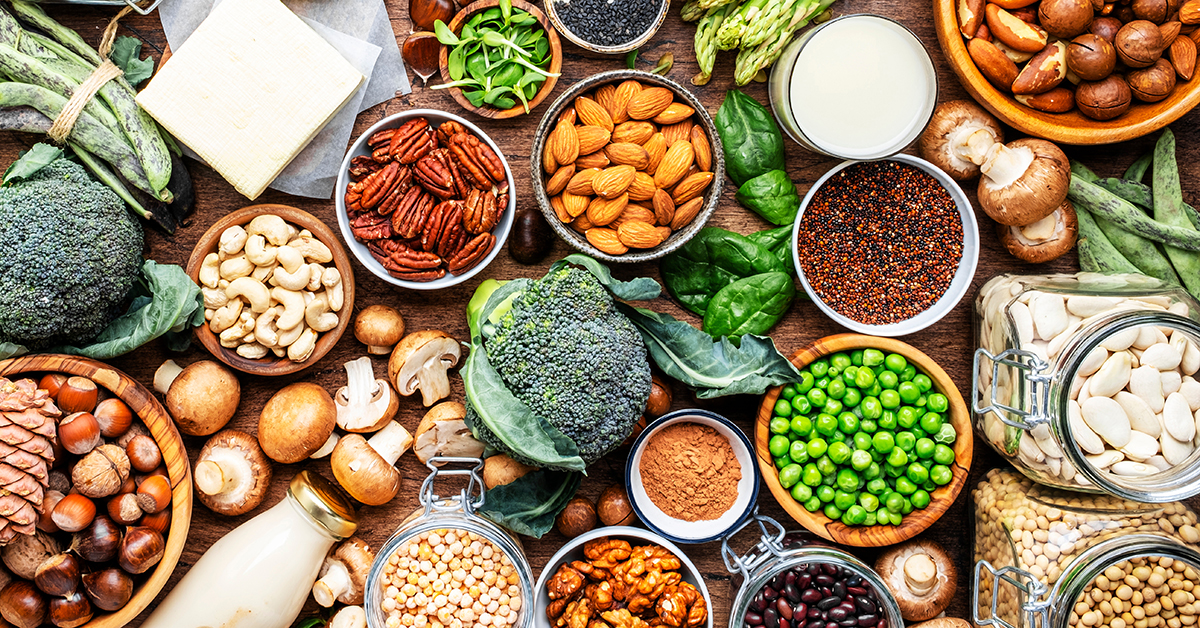 Selection of plant protein ingredients