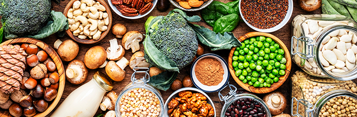 Selection of plant protein ingredients