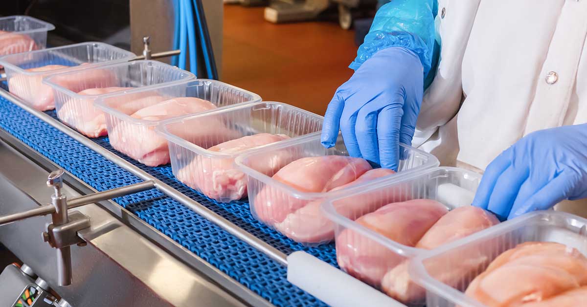Chicken breast being packed on a production line