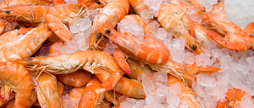 Prawns on ice